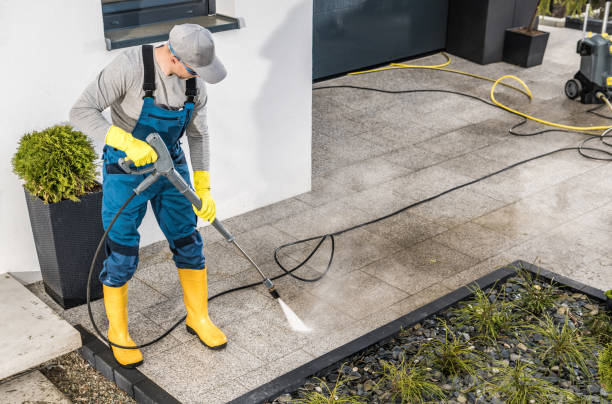 Best Affordable Power Washing  in Wasco, CA